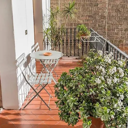 Canela Homes Concepcio
